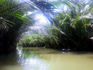 Water Coconut Forest 3