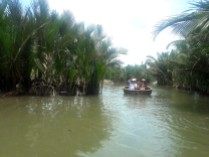 Water Coconut Forest 5