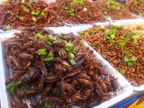 thailand food maggots samut prakan temple fair travel southeast asia
